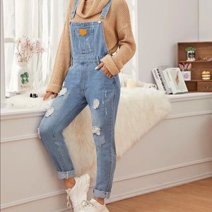 Denim Overalls